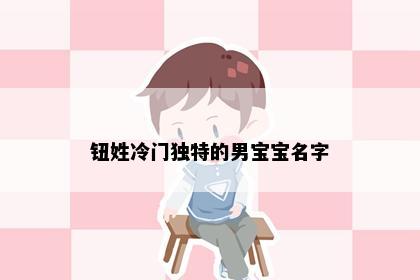 钮姓冷门独特的男宝宝名字