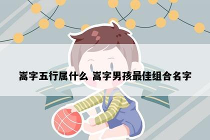 嵩字五行属什么 嵩字男孩最佳组合名字