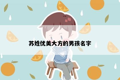 苏姓优美大方的男孩名字