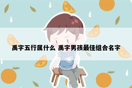 禹字五行属什么 禹字男孩最佳组合名字
